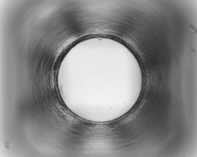 X0000100220974200806271723