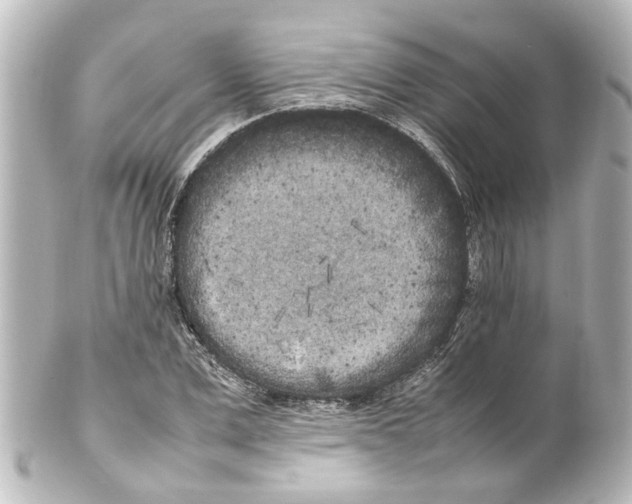 X0000100220975200806271723