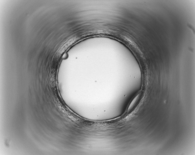 X0000100220977200806271723