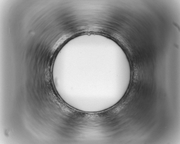 X0000100220978200806271723