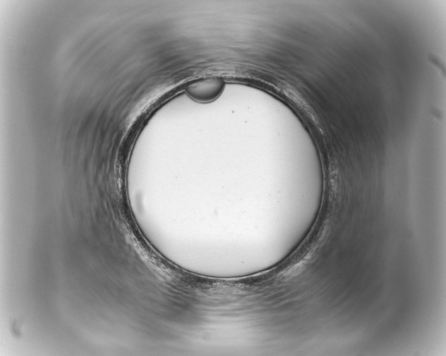 X0000100220981200806271723