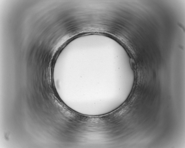 X0000100220982200806271723