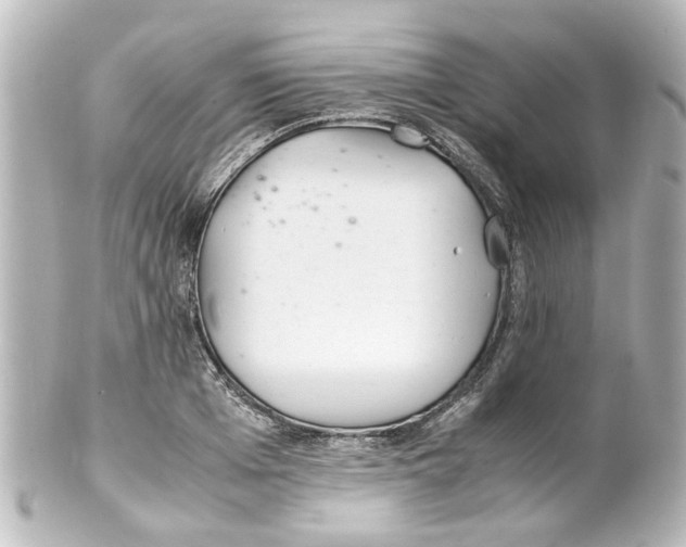 X0000100220985200806271723