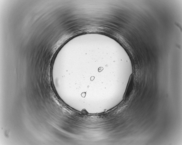 X0000100220986200806271723