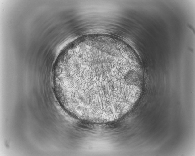 X0000100220987200806271723