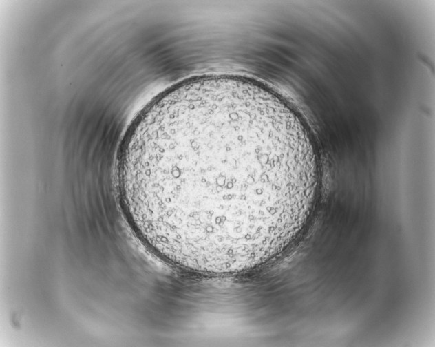 X0000100220990200806271723