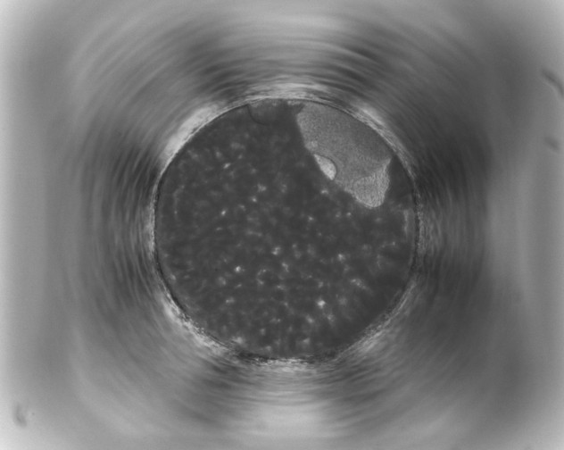 X0000100220994200806271723