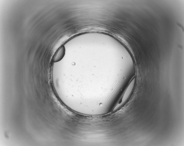 X0000100220997200806271723