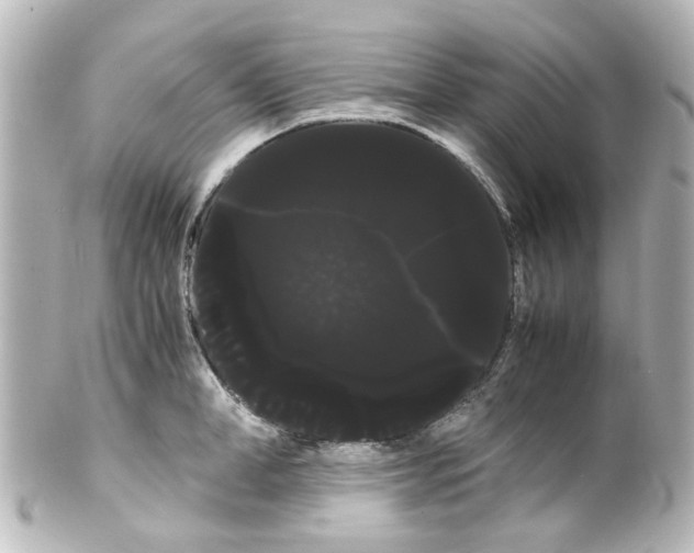 X0000100220998200806271723