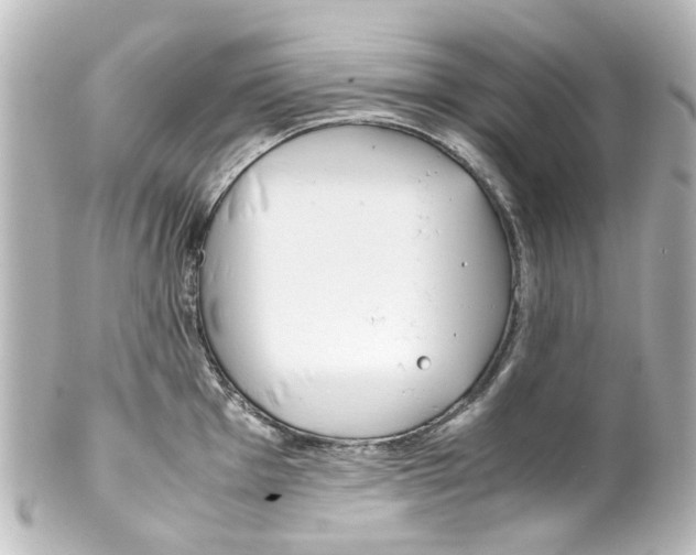 X0000100221001200806271723