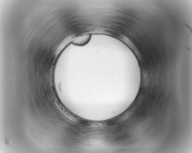 X0000100221002200806271723