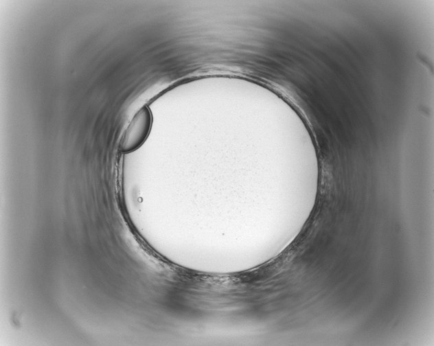 X0000100221003200806271723