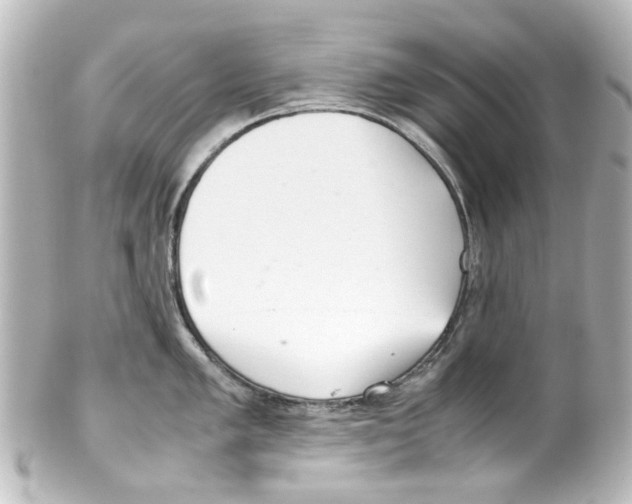 X0000100221005200806271723