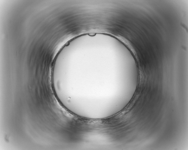 X0000100221006200806271723