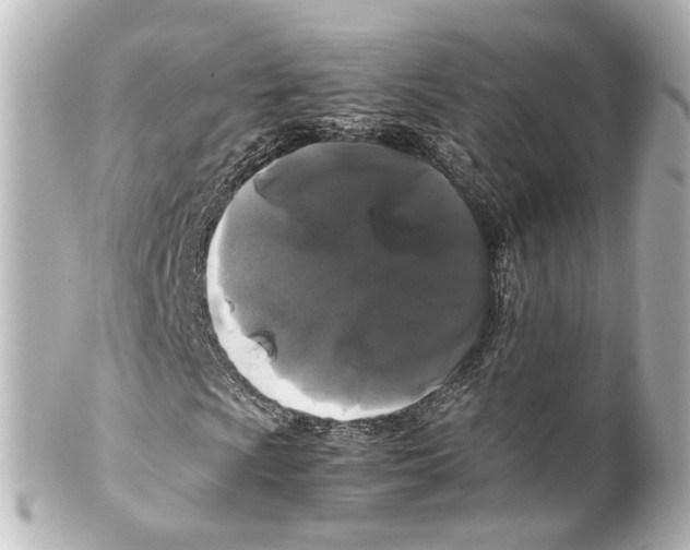 X0000100221009200806271722