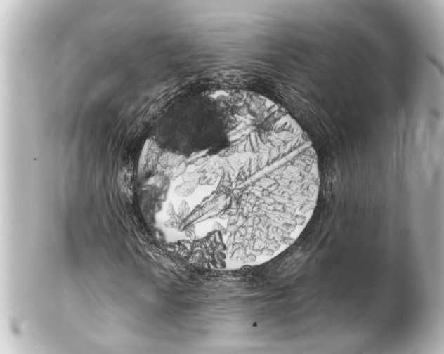 X0000100221010200806271722