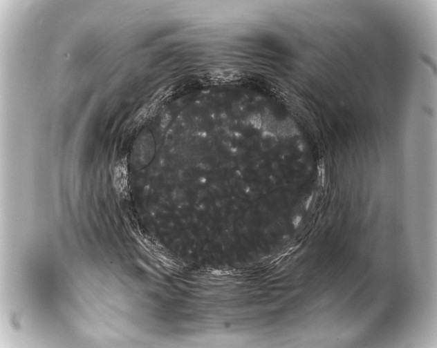 X0000100221011200806271722