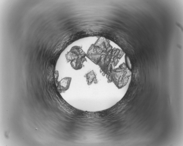 X0000100221012200806271722