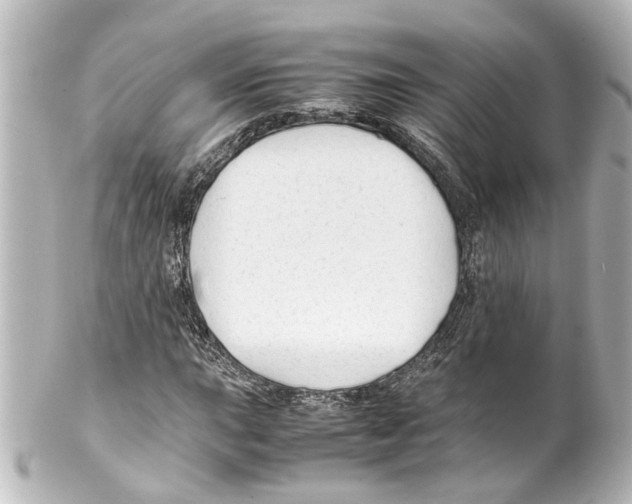 X0000100221015200806271722