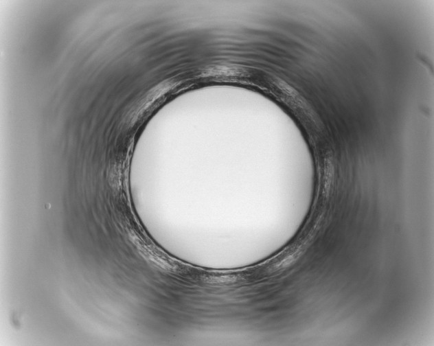 X0000100221017200806271722