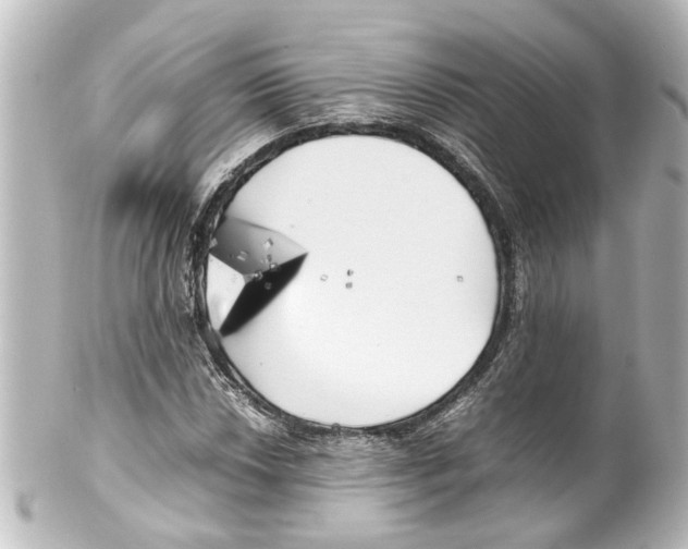 X0000100221018200806271722