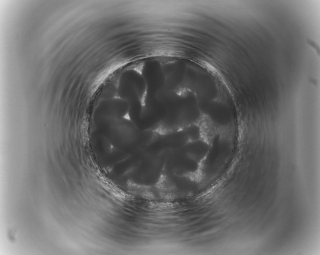 X0000100221019200806271722