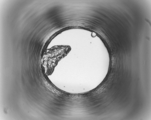 X0000100221020200806271722