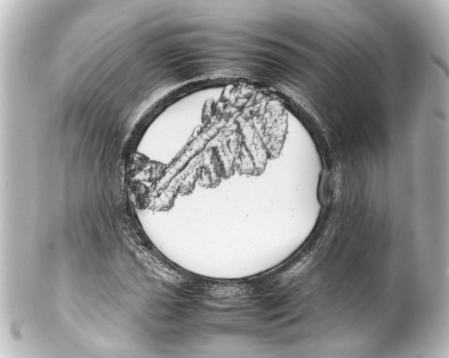 X0000100221021200806271722