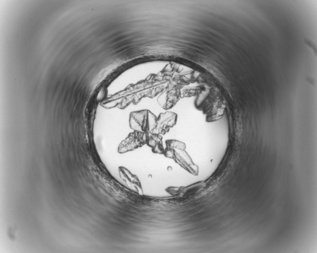 X0000100221022200806271722