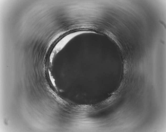 X0000100221024200806271722