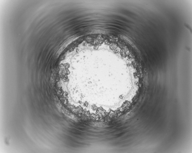 X0000100221025200806271722