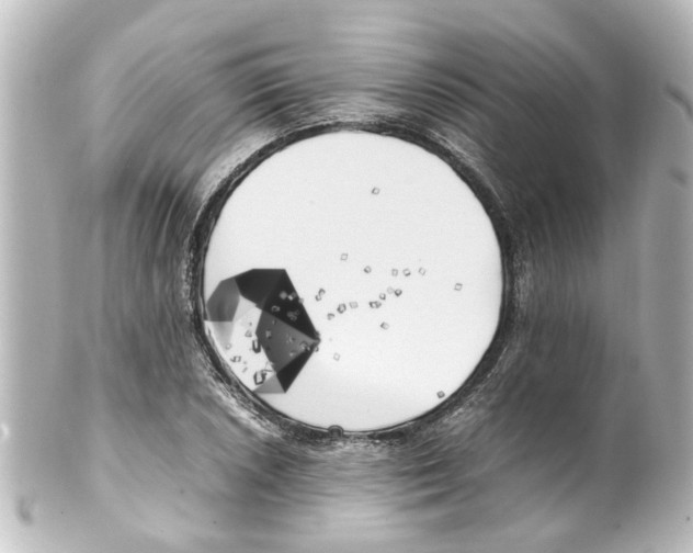 X0000100221026200806271722