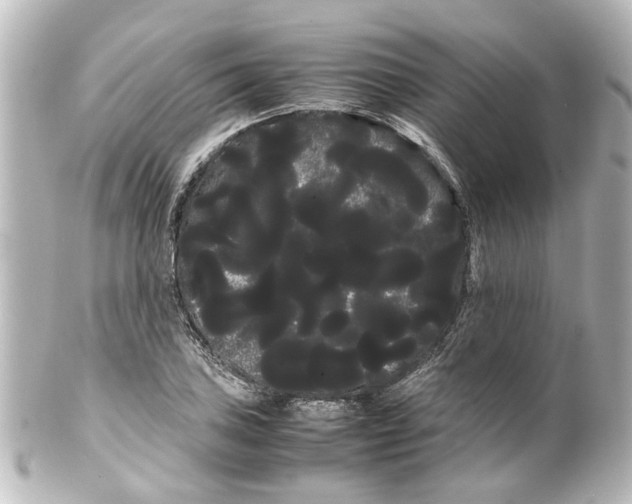 X0000100221027200806271722