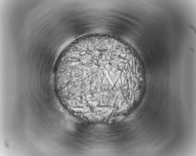 X0000100221029200806271722