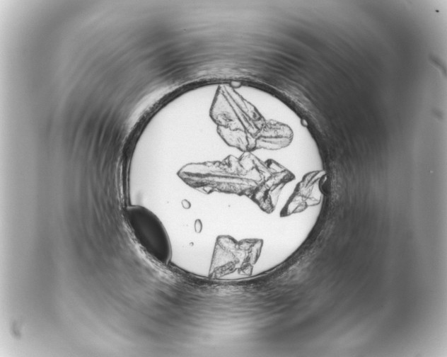 X0000100221030200806271722