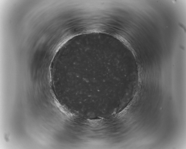 X0000100221031200806271722