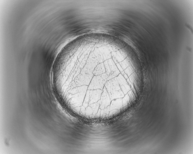 X0000100221032200806271722