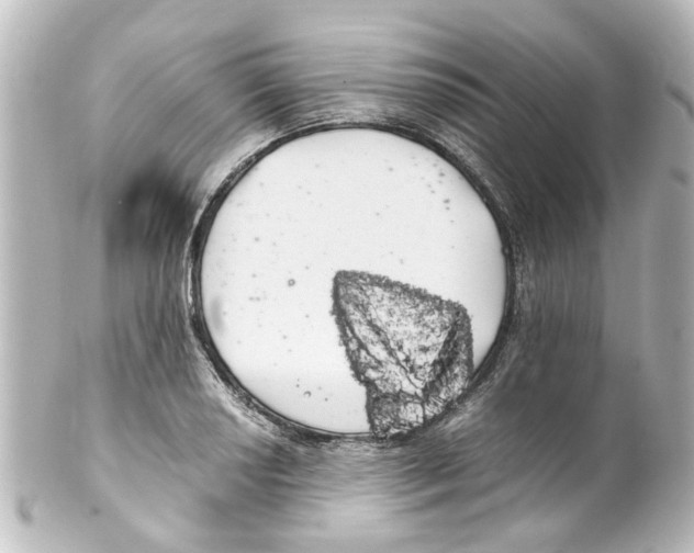 X0000100221034200806271722