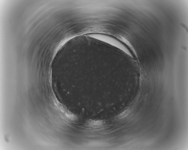 X0000100221035200806271722