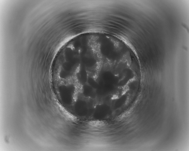 X0000100221037200806271722