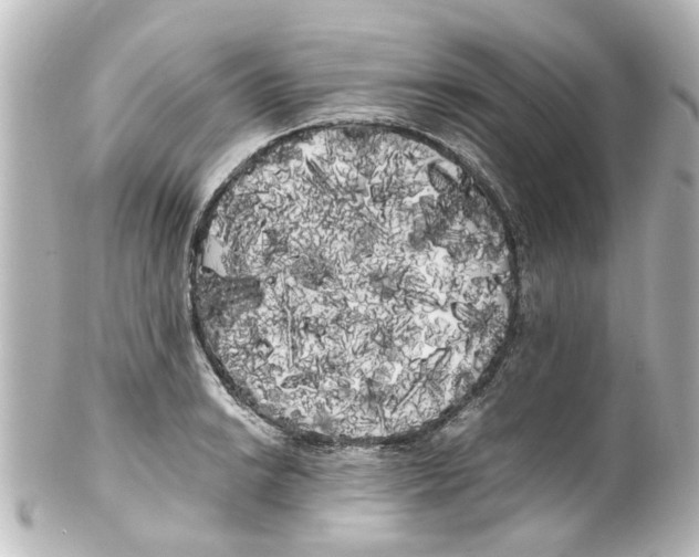 X0000100221038200806271722