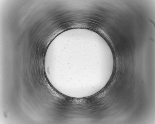 X0000100221041200806271722