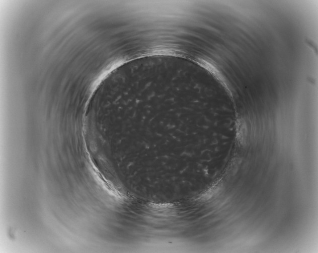 X0000100221043200806271722