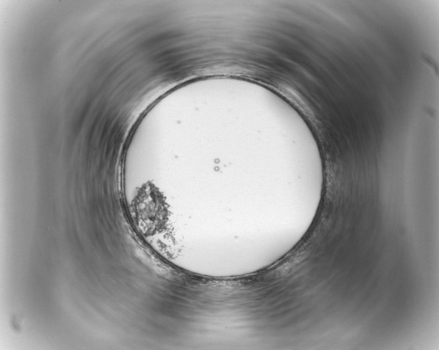 X0000100221044200806271722