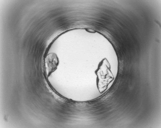 X0000100221046200806271722