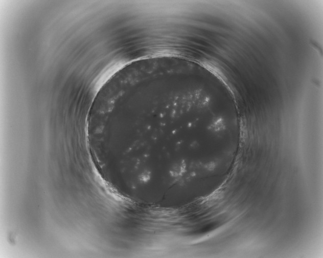 X0000100221047200806271722