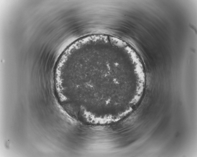 X0000100221048200806271722