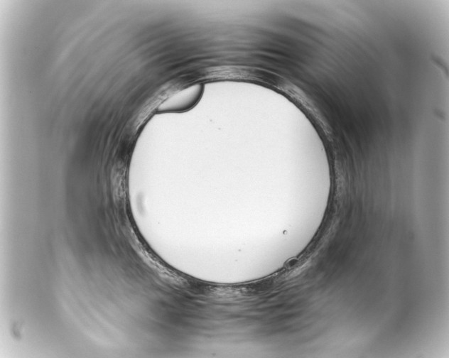 X0000100221049200806271723