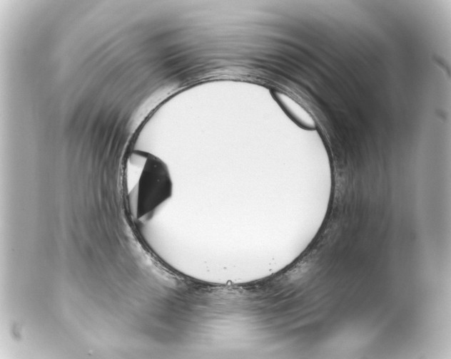 X0000100221050200806271723