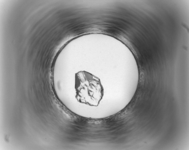 X0000100221051200806271723